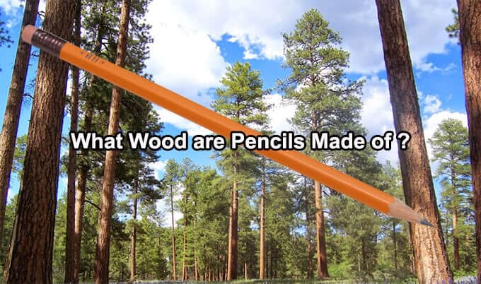 What kind of wood clearance are pencils made of